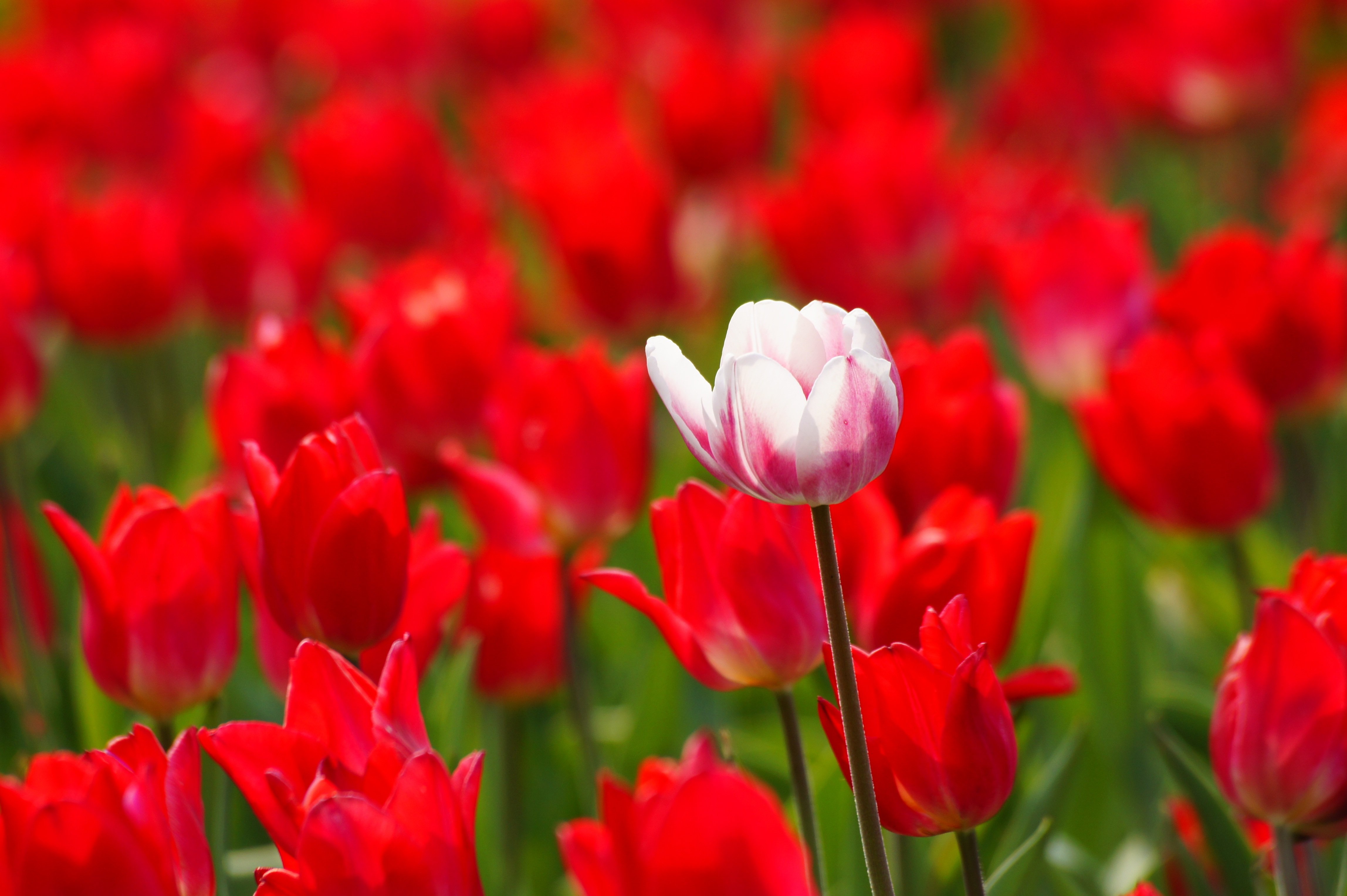 post de test a faire valider